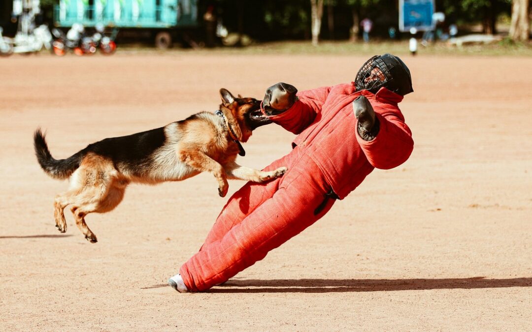 wieviel schmerzensgeld bei sturz durch hund